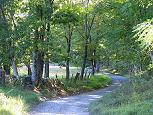 The Gooney Manor Loop winding its way downhill