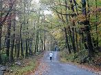 Glenn Luttrell running through the woods during the 2002 Greasy-Gooney 10K