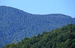 The radio tower and overlook atop Hogback Mountain as seen from the Gooney Manor Loop near Browntown