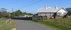 Grey barn at the Greasy-Gooney 10K's 6 mile mark, just before the final straightaway