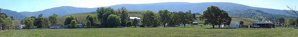 Panoramic view of the Blue Ridge along the Gooney Manor Loop just before the Greasy-Gooney 10K finish line in Browntown