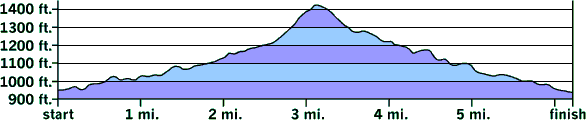 Greasy-Gooney 10K elevation profile